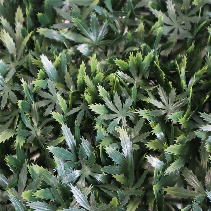 Indoor Garden Vertical