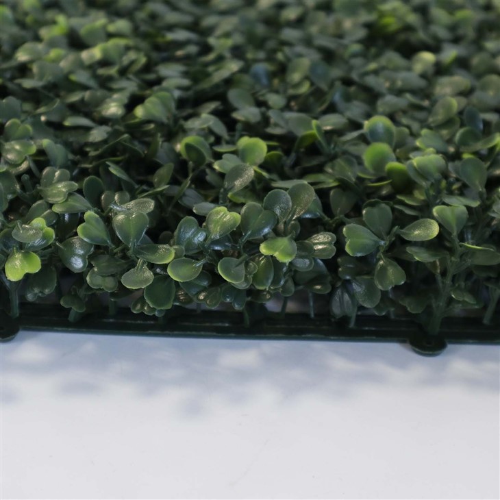 Indoor Wall Greenery