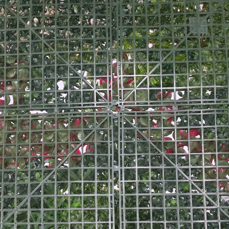 Modular Green Wall
