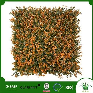 Zāles siena mājās