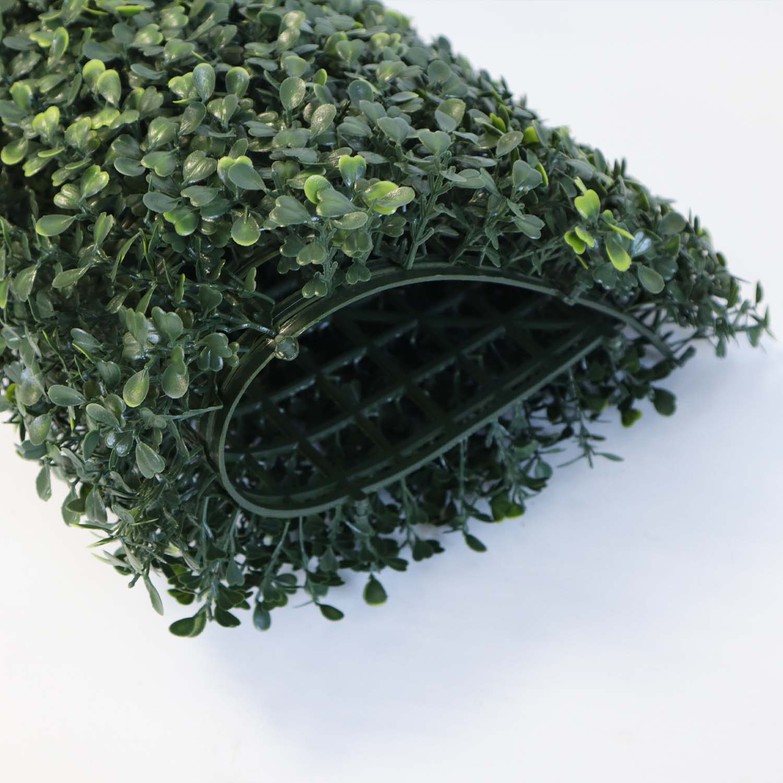 indoor plants vertical garden indoor plants vertical garden