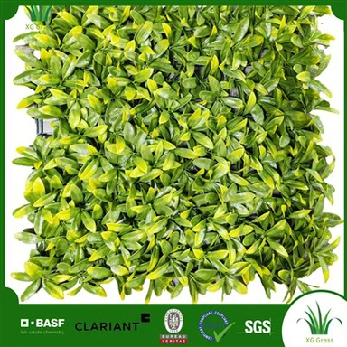 DIY zaļā siena iekštelpās