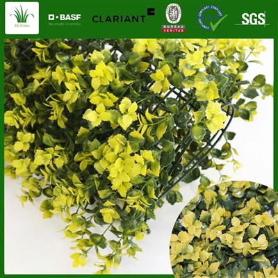 DIY iekštelpu garšaugu siena