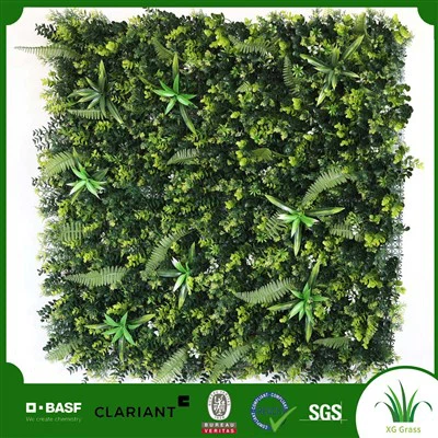 DIY iekštelpu dzīvojamo augu siena