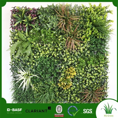 Piekaramās sienas dārzs iekštelpās