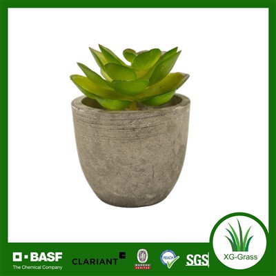 Augstas{0}}kvalitātes mākslīgo sukulentu augu pods