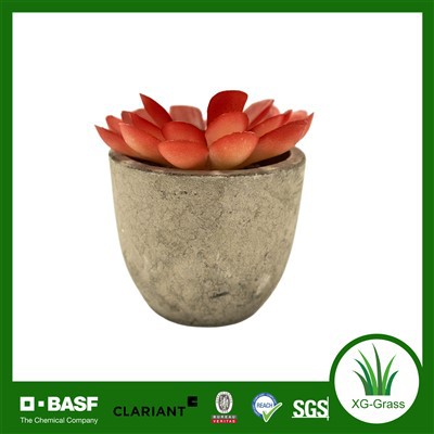 Sarkano mākslīgo sulīgo mini mākslīgo augu vairumtirdzniecība mājām un birojam