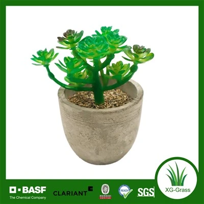 Xingu Lush Green sulīgs augs mājas un biroja dekorēšanai