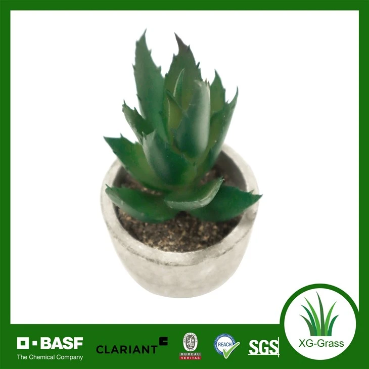 Xingu Lifelike Mini Faux Succulent Plants For Home Decor suppliers